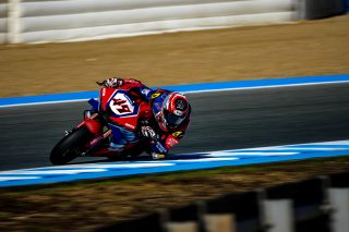 NAGASHIMA_JEREZ-07958