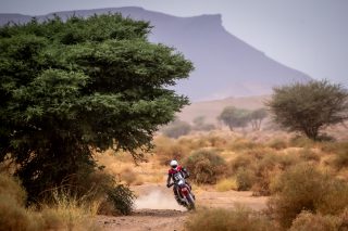 2025 Rallye du Maroc - Stage Four - Campbell